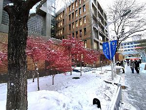 2023 12 PEKIN- UNIVERSITE LANGUES ETRANGERES SOUS LA NEIGE (18)